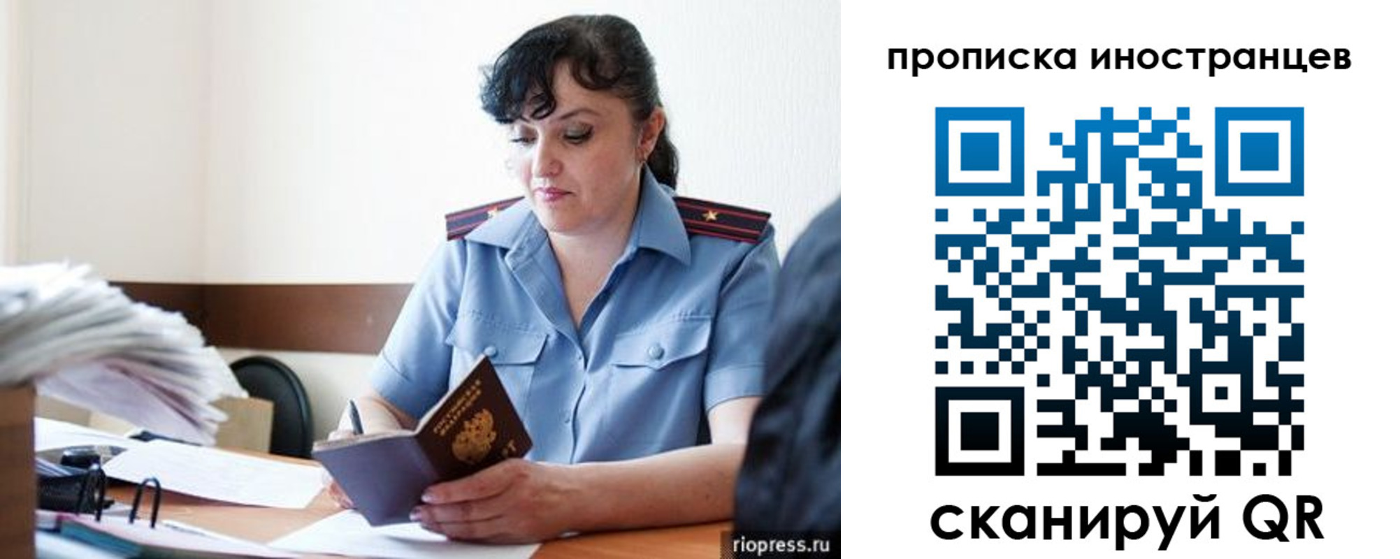 найти адрес прописки в Полярных Зорях