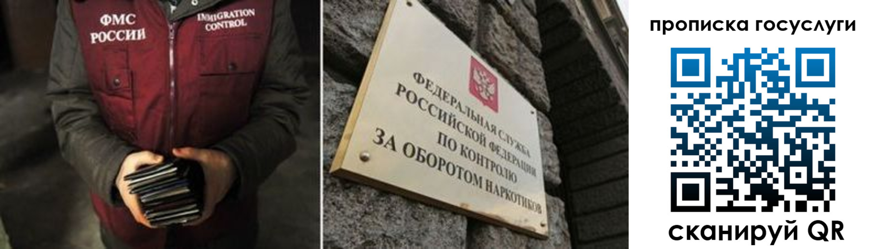 временная регистрация поиск в Полярных Зорях